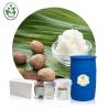 Buy cheap Shea Butter Massage Essential OIls from wholesalers