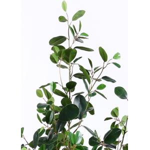 Buy cheap Lush Leaves 6 Ft Artificial Ficus Tree , Fake Fiddle Leaf Fig Tree Delightful Impression from wholesalers