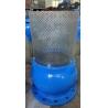 Buy cheap DN250 PN16 GG25 Screen SS304 foot valve from wholesalers