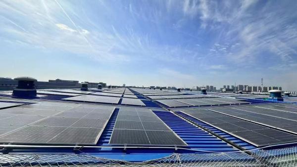 Buy cheap Maximun Power 150W±0.25W Pannel Solar Energy System For 65.7 X 39.4 X 1.4 Inches from wholesalers