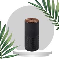 Buy cheap Office H12 H13 True Hepa Air Purifier AP02 Dust Odor Air Cleaner Travel Bedroom product