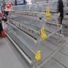 Buy cheap Q235 Hot Galvanized Automatic Day Old Chicks Cage For Poultry Farm from wholesalers