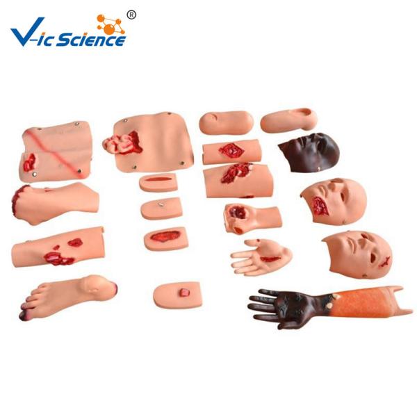 Buy cheap Advanced Trauma Accessories CPR Training Manikins Nurse Training Model from wholesalers