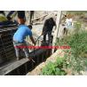 Buy cheap ISO 9001 Certificated Concrete Vibrator Rubber Hose Concrete Pump Hose/Concrete Hose from wholesalers