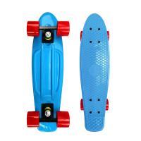 Buy cheap Plastic Mini Penny Complete Skateboards 22 With Blue Deck Red Wheels product