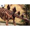 Buy cheap Outdoor Indoor Decoration Dinosaur Skeleton Replica Fiberglass And High Quality Steel from wholesalers