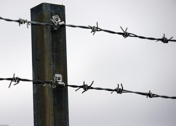 Buy cheap Use Of Prison Walls Anti Climb Galvanized Barbed Wire Roll from wholesalers