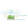 Buy cheap Monofilament Curly Yarn Outdoor Artificial Grass Healthy Landscaping False Turf from wholesalers