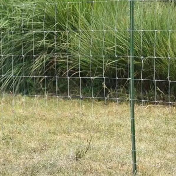 Buy cheap Low Price Guaranteed Quality Hight Quality Goat Farming Field Fence 5 Ft Goat Fencing Farm Animal Fence from wholesalers