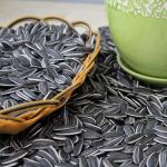 Nutritious Hulled Sunflower Hearts Perfect for Your Customers