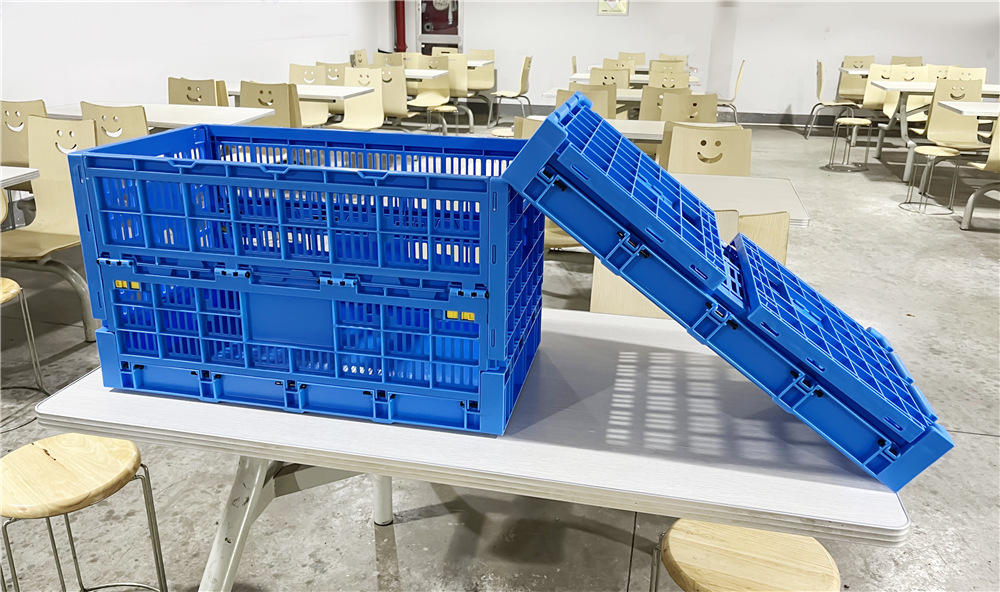 Customized Logo Blue Egg Storage Box Refrigerator for Modern Chicken Grid Drawer Type