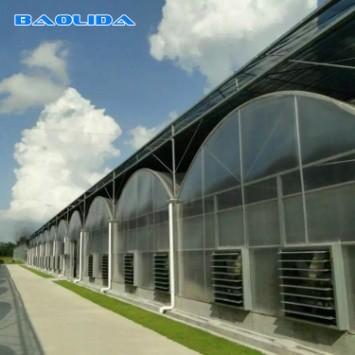 Agricultural Flowers Shading Multi Span Hot Dipped Galvanized Polycarbonate