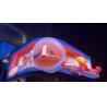 Buy cheap P2.5mm LED Video Wall Screen , Multicolor LED Video Wall Panels Outdoor from wholesalers