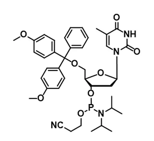 Custom Oligonucleotide Primer Synthesis dA dC dG dT Phosphoramidite