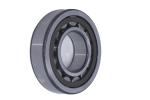 NUP 305 ECP Cylindrical Roller Bearings Bore Sizes 100 Mm - 700 Mm