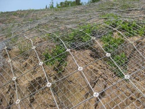 Flexible Protection Wire Mesh , Stainless Steel Wire Mesh Netting For Slope