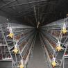 Buy cheap Layer A Type Chicken Cage Hot Galvanized Wire Mesh from wholesalers