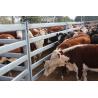Buy cheap Six Bars Heavy Duty Metal Oval Rail Cattle Yard Panel for Australia from wholesalers