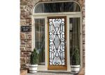 22*64 Inch Wrought Iron Security Doors Glass Agon Filled Shaped Wrought Iron