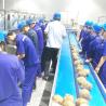 Buy cheap 100KW - 150KW Fruit Juice Processing Line For Coconut Milk / Water from wholesalers