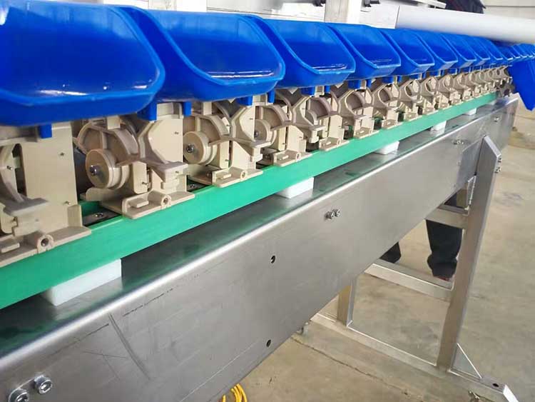 Fruit Vegetable Avocado Grader Grading Machine Weight Sorter Machine Commercial
