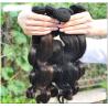 Buy cheap Top Grade 8A Body Wave Virgin Remy Hair Wholesale indian human hair weft from wholesalers