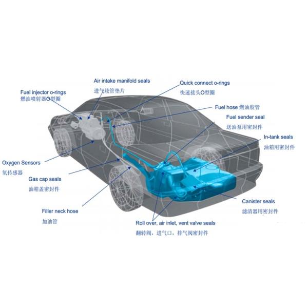 Multi Color FKM Low Temperature FKM Silicone Fuel Resistant Oil Resistant Gasket