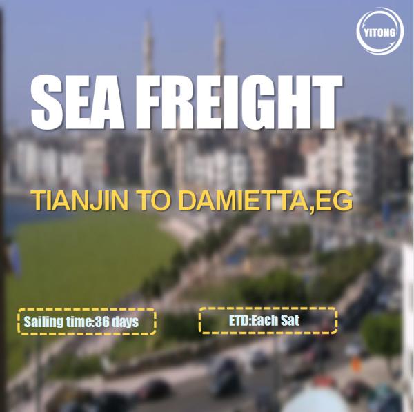 Buy cheap FOB CIF International Sea Freight Logistics From Tianjin To Damietta Egypt from wholesalers