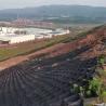 Buy cheap Cellular Confinement System HDPE Geocell Tree Root Protection 150mm from wholesalers