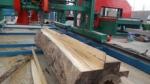 popular!!! Double Saw blade Angle Circular saw mill industrial wood saws