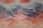 Gradient three colors Long Hair Fur Fabric 150cm Fake Fox，Provide ultimate