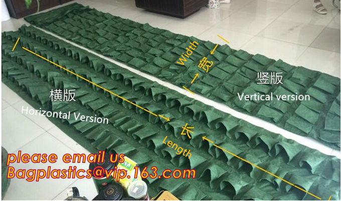 Transparent / Black / Silver / White color Plastic PE LDPE Agriculture Mulching Film,panda strawberry mulch film/black w
