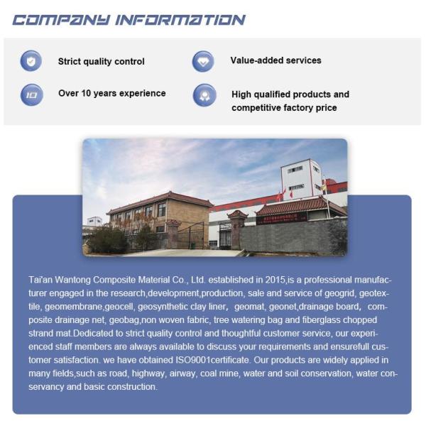 Geotextile for Roadbed Solidification 1m-6m Width 80-80 PET Biaxial Polyester Geogrid