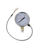 RoHS Corrosion Proof SS304 Mechanical Pressure Gauge