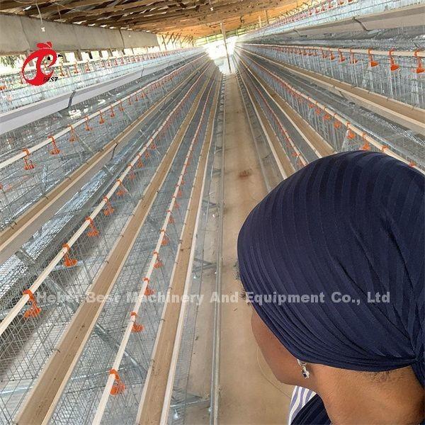 Buy cheap Manual A Frame Layer Battery Cage System Semi Automatic Emily from wholesalers