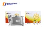 Buy cheap 96 Well Plate Rat High Precision and Sensitivity Fibrinogen Immunoassays Test from wholesalers