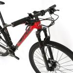RS 36speed Carbon Fiber Mountain Bike , Mens 29 Inch Mountain Bike T900