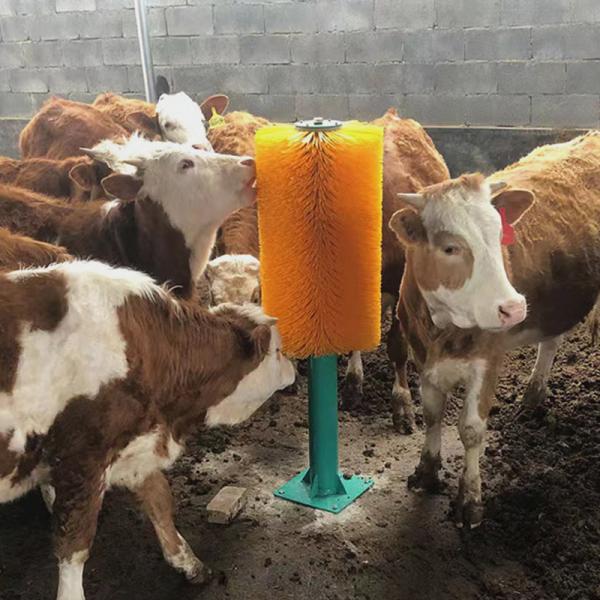 Quality Electric Cattle Cow Brush Roller Massage Scratching ISO9001 Certificated for sale