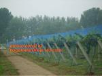 Hot Selling Greenhouse Anti Insect Netting with Competitive Price,virgin hdpe