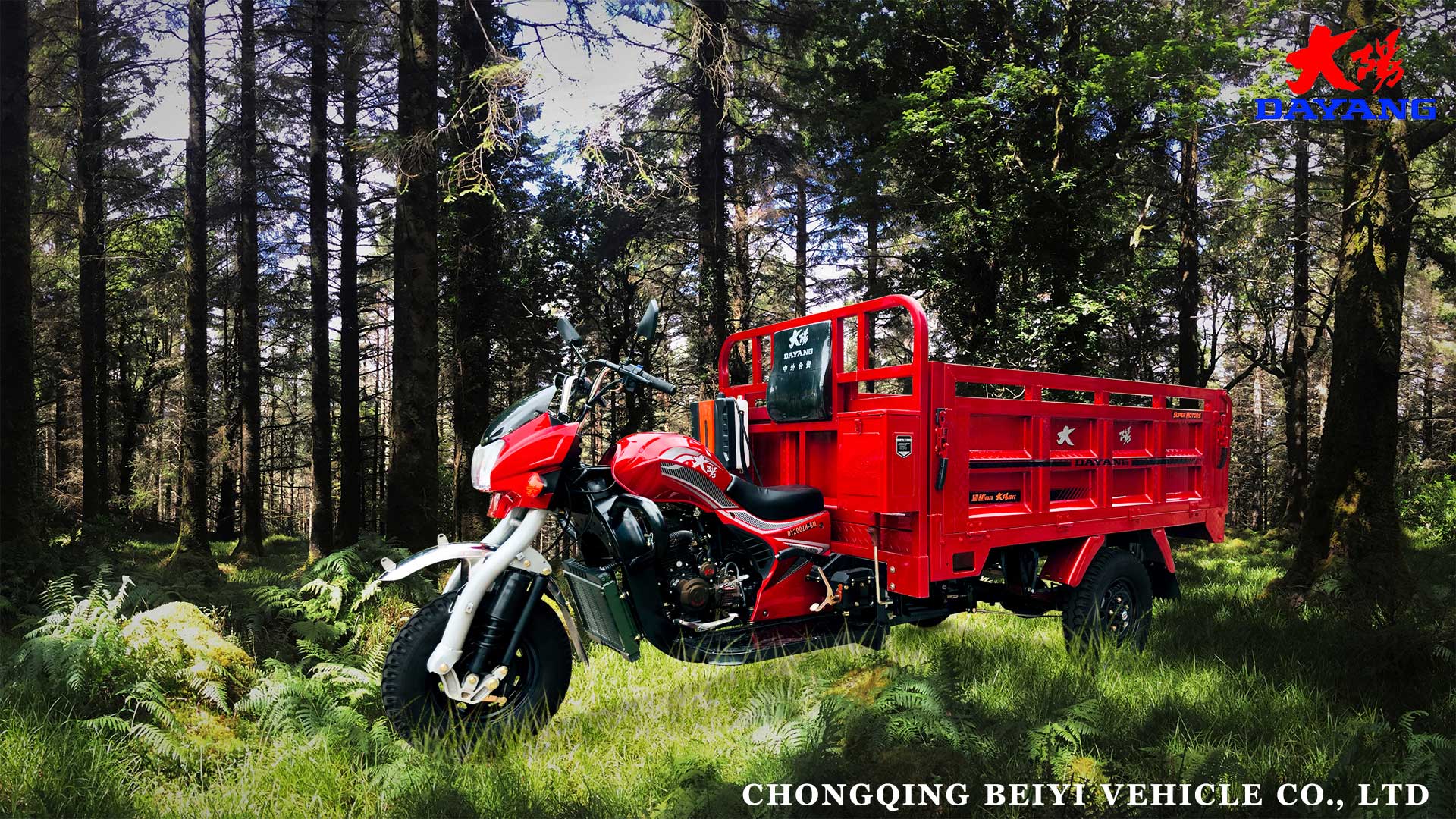 DAYANG Cargo Tricycle with Rear Axle Floating Booster King Three Wheels Motorcycle