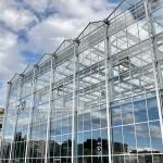 Agriculture FarmingVenlo Type Greenhouse For Fish Vegetable Hydroponics And