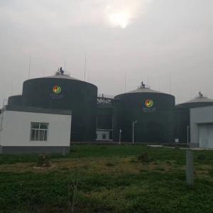 Wholesale N2O Gobar Gas Balloon Biogas Plant Project Anaerobic Digestion Tank from china suppliers