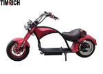 EEC 12 Inch Aluminum Wheel Adult Sports Motorcycle 1500W Lithium Battery TM-TX