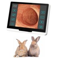 Buy cheap ODM Veterinary Medical Equipment Flexible Intubation Video Endoscope For Vet product