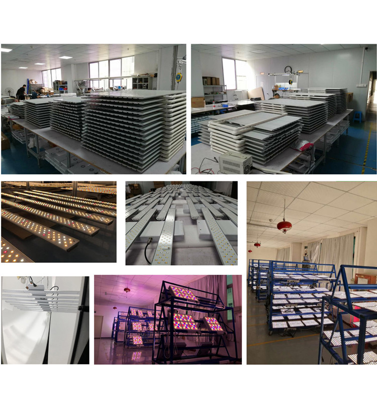 Vertical Farming 80W 48VDC 1.8μmol/J LED Grow Light Bar