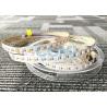 Buy cheap RGB + Warm White LED Color Changing Light Strips , Dimmable Led Strip Lights 24VDC from wholesalers