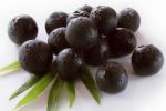 Buy cheap Acai berry Extract Powder, Anthocyanidins 5%-30%, antioxidant, anti-aging from wholesalers