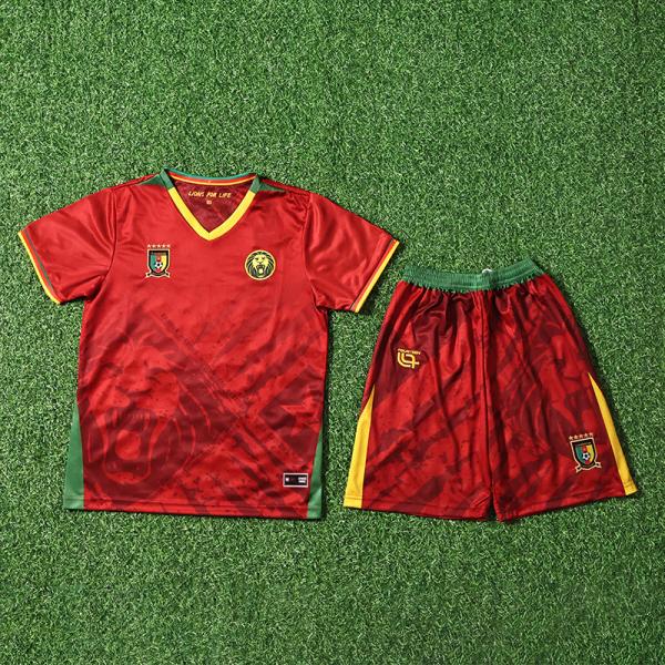 Buy cheap 2025 Cameroon Children Away Football Jersey Customized Team Uniforms from wholesalers