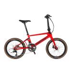 Hydraulic Brake Carbon Fiber Mountain Folding Bike SRAM S700 22 Speed