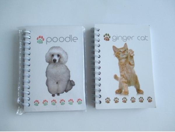 Good quality competitive price hardcover offset printing wholesale school